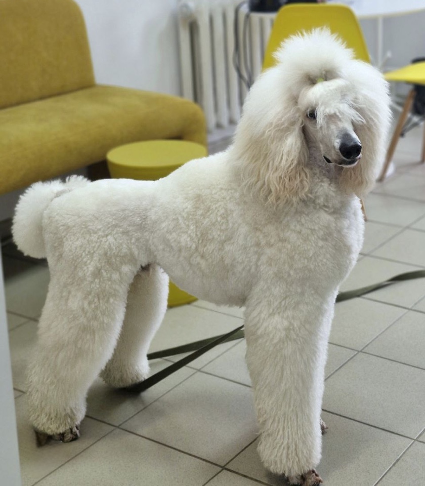 до