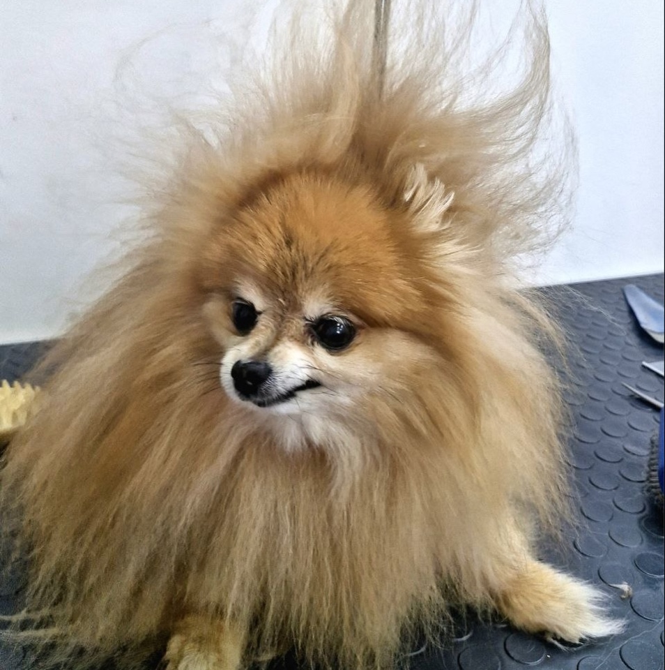 до